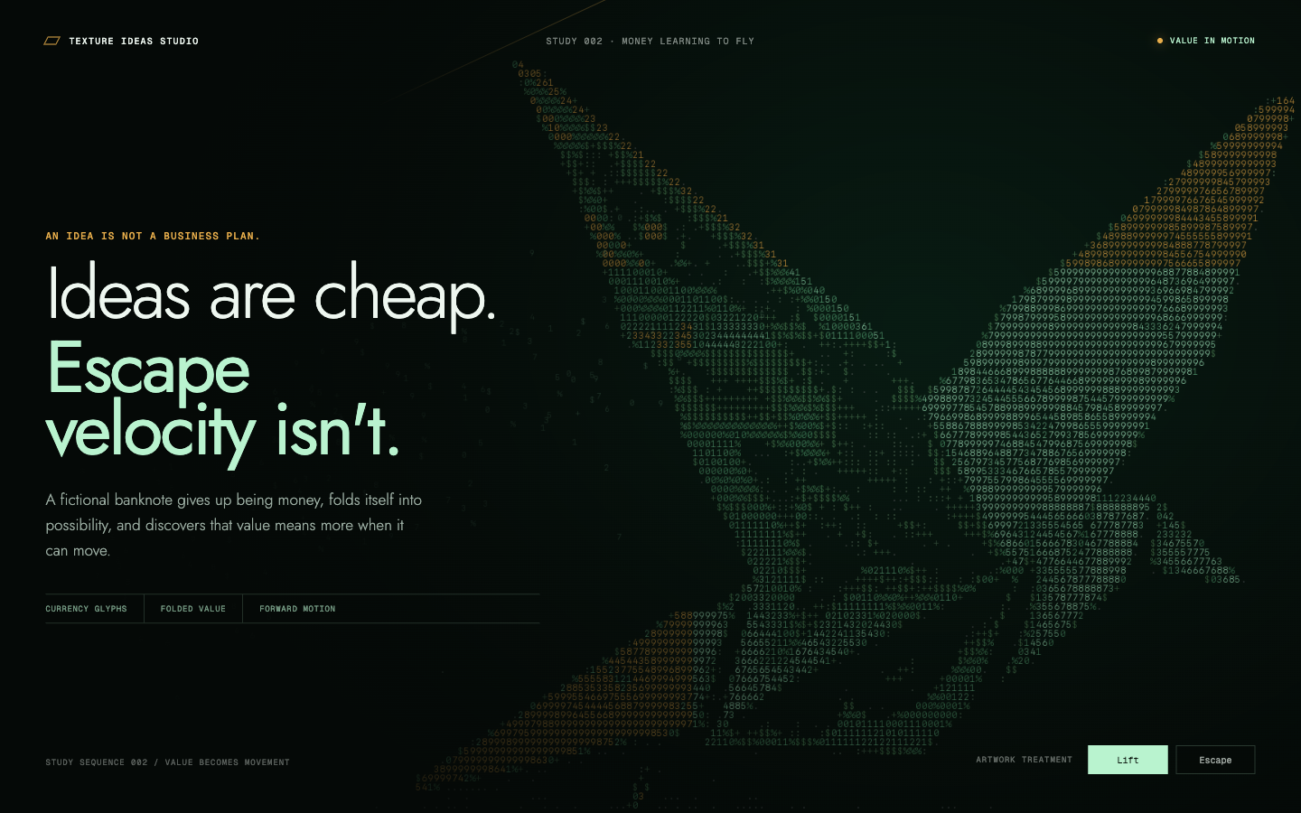 Money Learning to Fly immersive currency-symbol ASCII website shown in a wide browser composition